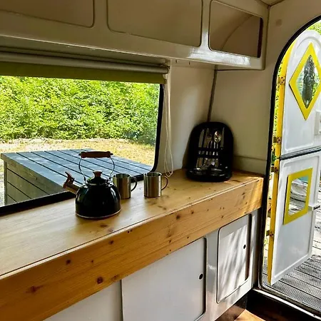 Auszeit Im Wald Direkt Am See Campsite